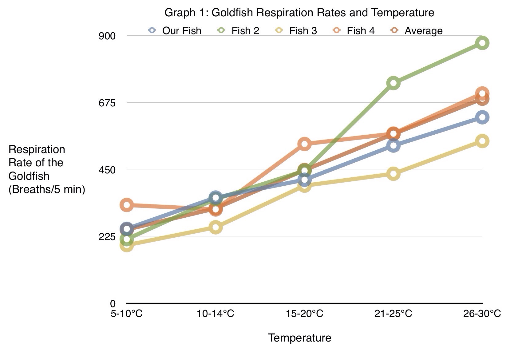 How does temperature affect metabolism?
